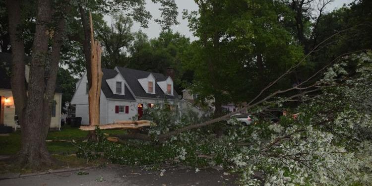 Lightning Strike Brings Down Tree on Lawrence Street