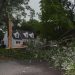 Lightning Strike Brings Down Tree on Lawrence Street