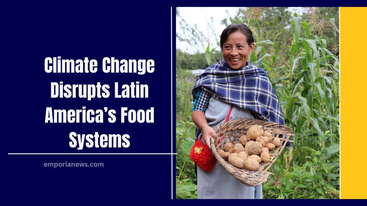 Climate Change Disrupts Latin America’s Food Systems- UN Report Reveals Shocking Impact And Solutions