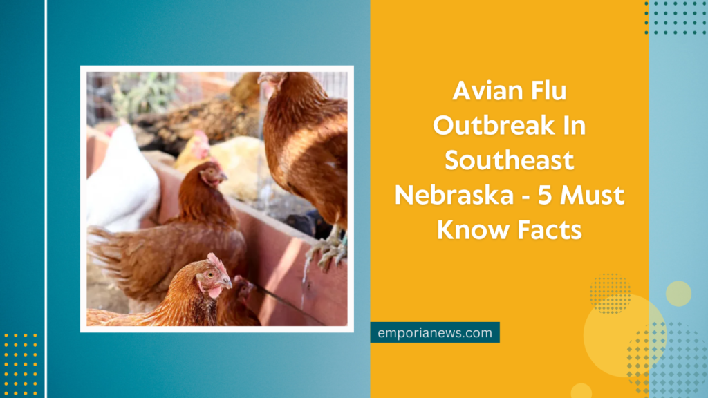 Avian Flu Outbreak In Southeast Nebraska - 5 Must Know Facts