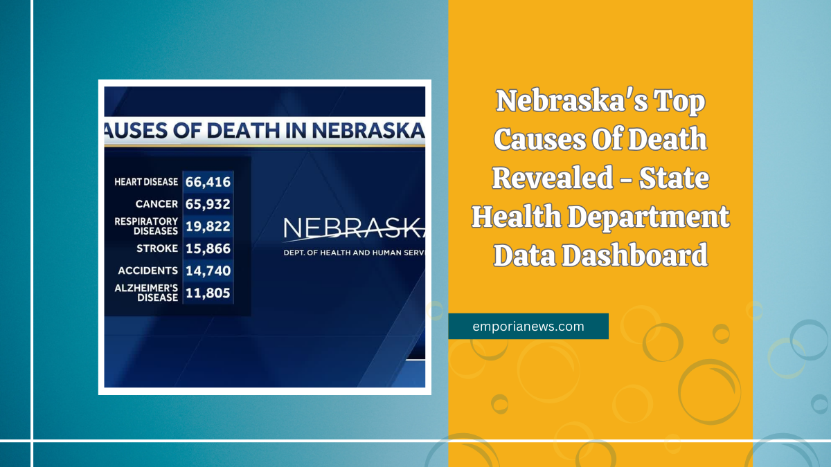 Nebraska's Top Causes Of Death Revealed - State Health Department Data Dashboard