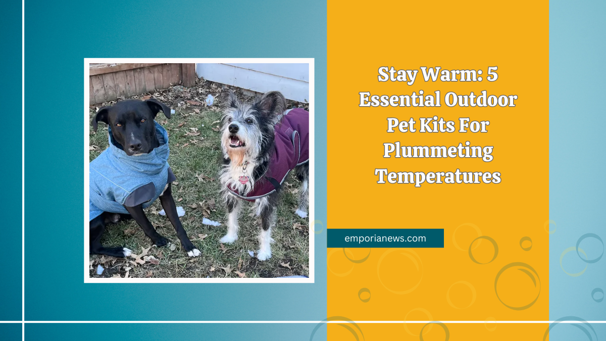 Stay Warm: 5 Essential Outdoor Pet Kits For Plummeting Temperatures