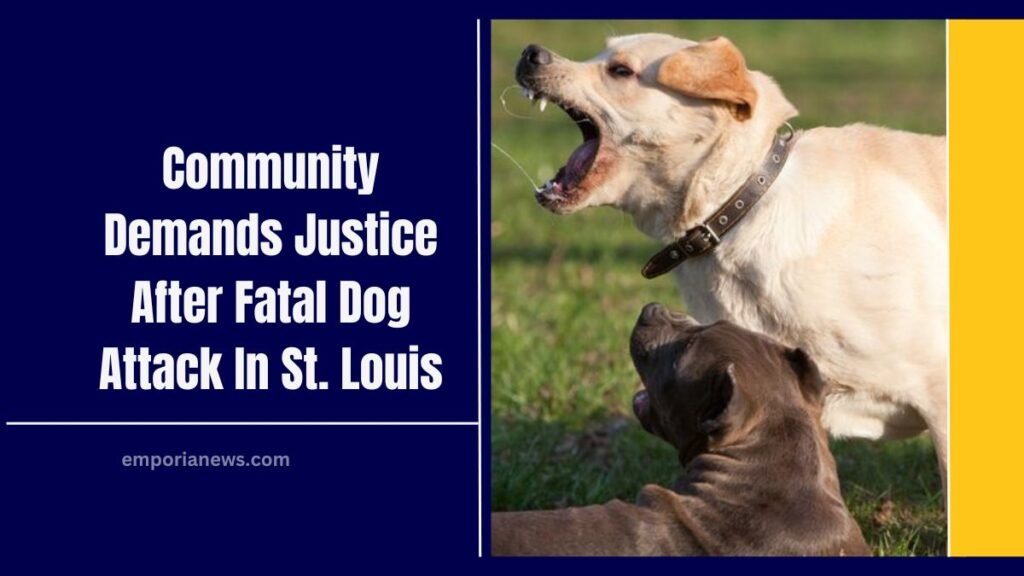 Community Demands Justice After Fatal Dog Attack In St. Louis