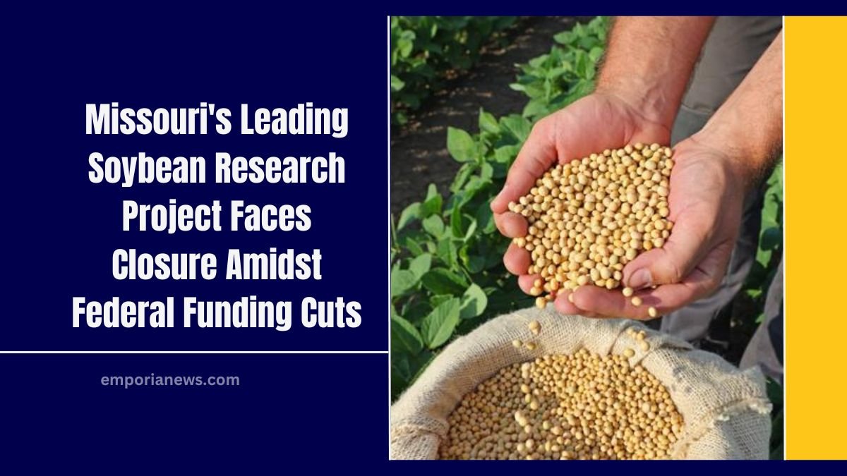 Missouri's Leading Soybean Research Project Faces Closure Amidst Federal Funding Cuts