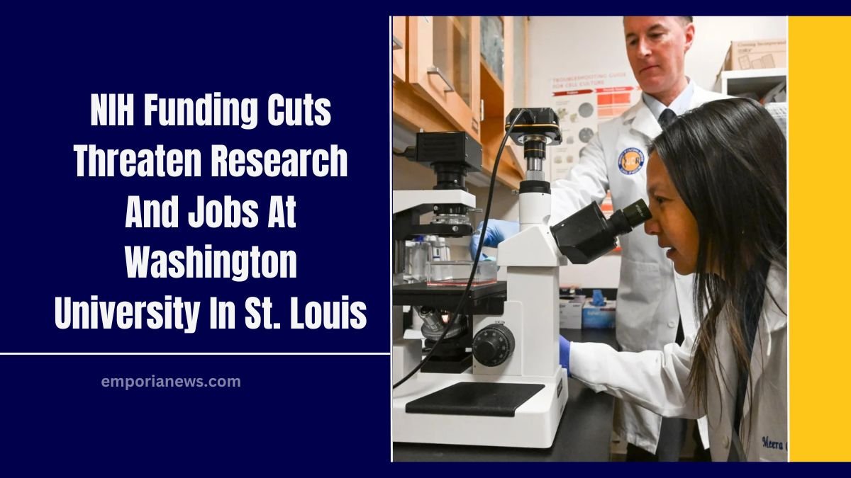 NIH Funding Cuts Threaten Research And Jobs At Washington University In St. Louis