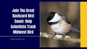 Join The Great Backyard Bird Count: Help Scientists Track Midwest Bird Species This Weekend!