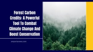 Forest Carbon Credits: A Powerful Tool To Combat Climate Change And Boost Conservation