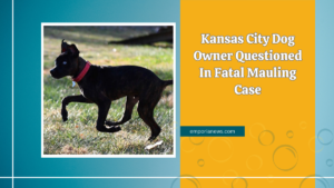 Kansas City Dog Owner Questioned In Fatal Mauling Case