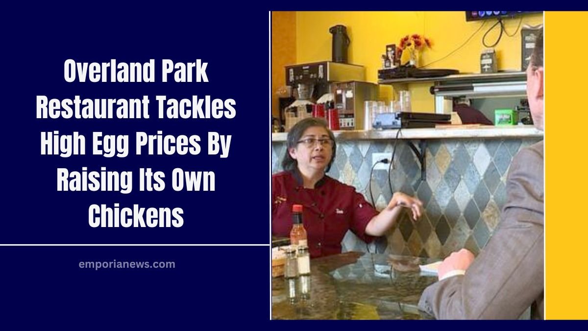 Overland Park Restaurant Tackles High Egg Prices By Raising Its Own Chickens