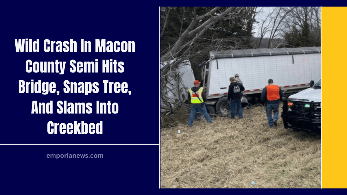 Wild Crash In Macon County Semi Hits Bridge, Snaps Tree, And Slams Into Creekbed