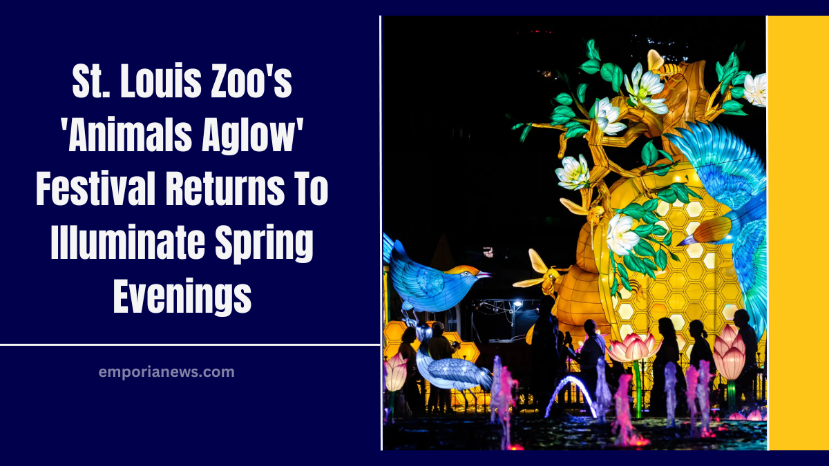 St. Louis Zoo's 'Animals Aglow' Festival Returns To Illuminate Spring Evenings