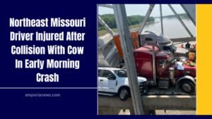 Northeast Missouri Driver Injured After Collision With Cow In Early Morning Crash