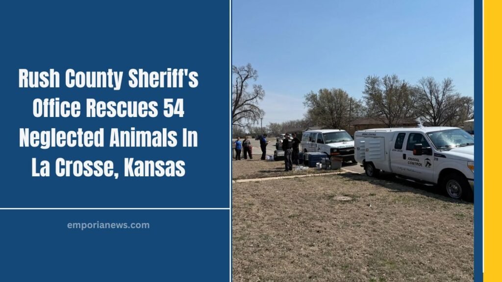 Rush County Sheriff's Office Rescues 54 Neglected Animals In La Crosse, Kansas