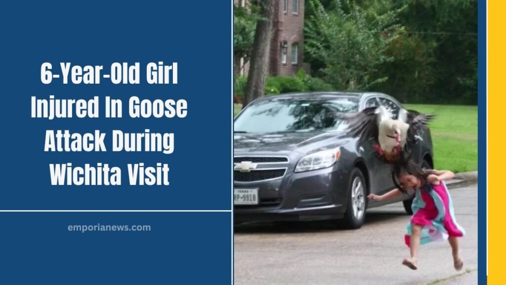 6-Year-Old Girl Injured In Goose Attack During Wichita Visit