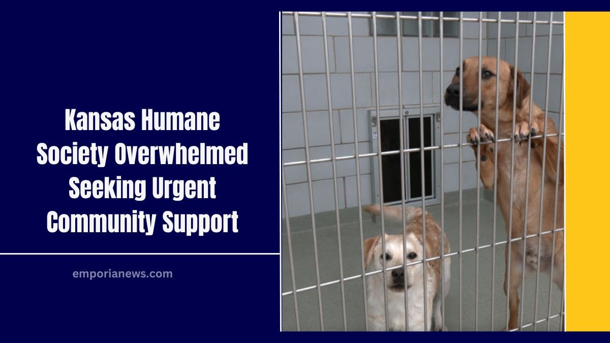 Kansas Humane Society Overwhelmed Seeking Urgent Community Support