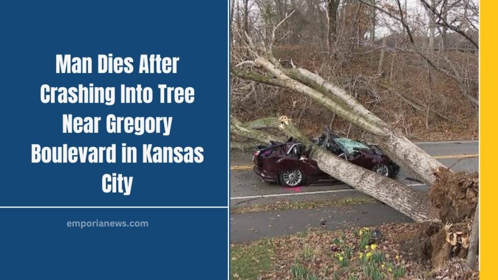 Man Dies After Crashing Into Tree Near Gregory Boulevard in Kansas City