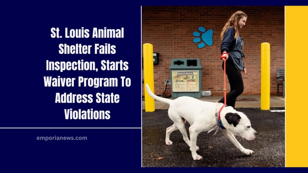 St. Louis Animal Shelter Fails Inspection, Starts Waiver Program To Address State Violations
