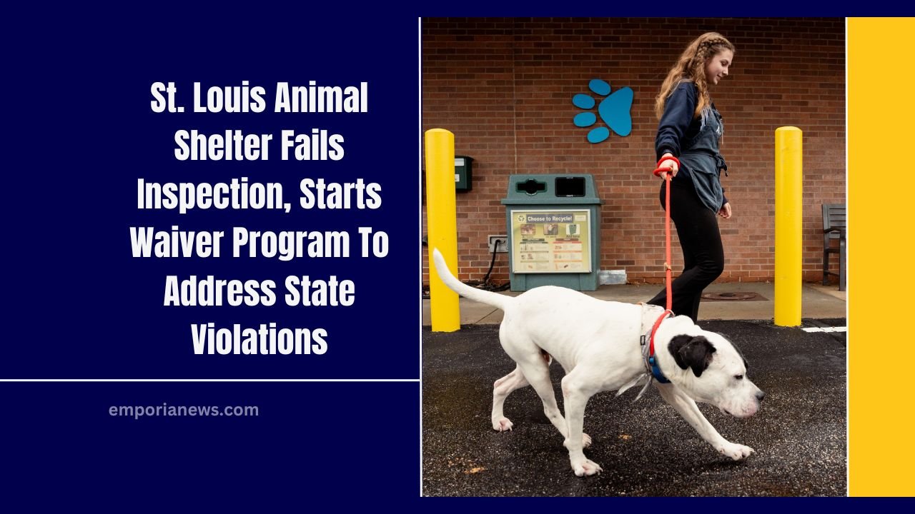 St. Louis Animal Shelter Fails Inspection, Starts Waiver Program To Address State Violations