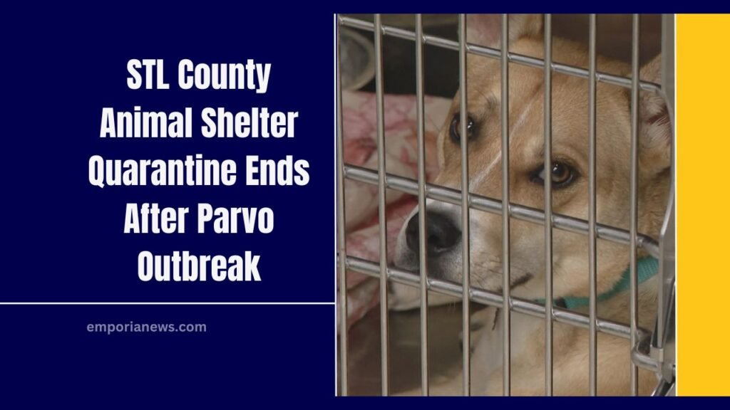 STL County Animal Shelter Quarantine Ends After Parvo Outbreak