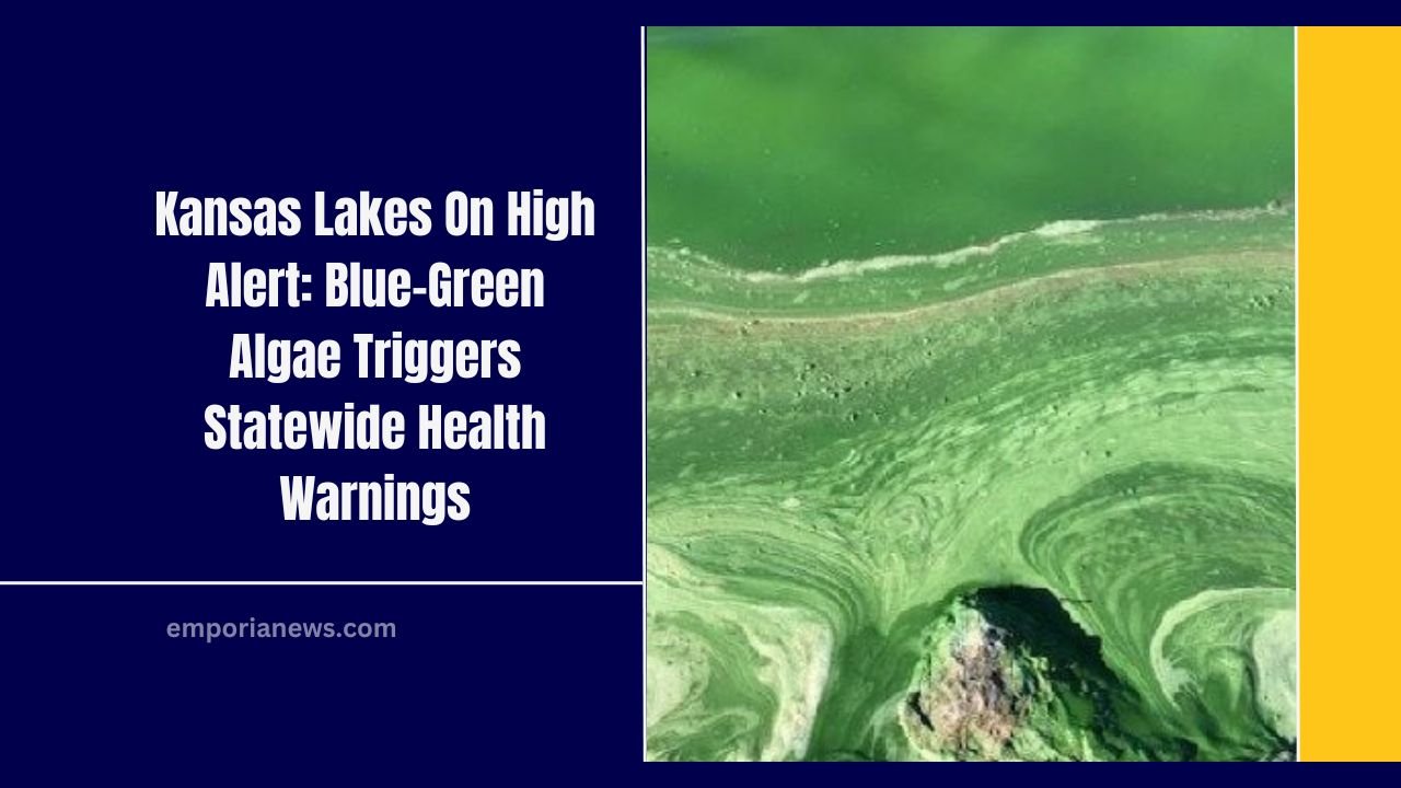 Kansas Lakes On High Alert: Blue-Green Algae Triggers Statewide Health Warnings