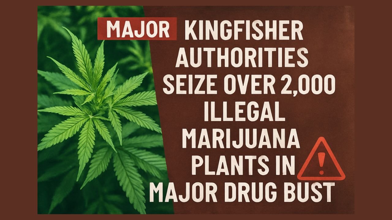 Kingfisher Authorities Seize Over 2,000 Illegal Marijuana Plants in Major Drug Bust