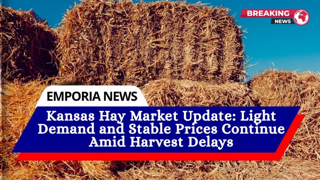 Kansas Hay Market Update Light Demand and Stable Prices Continue Amid Harvest Delays