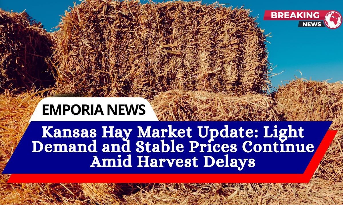 Kansas Hay Market Update Light Demand and Stable Prices Continue Amid Harvest Delays