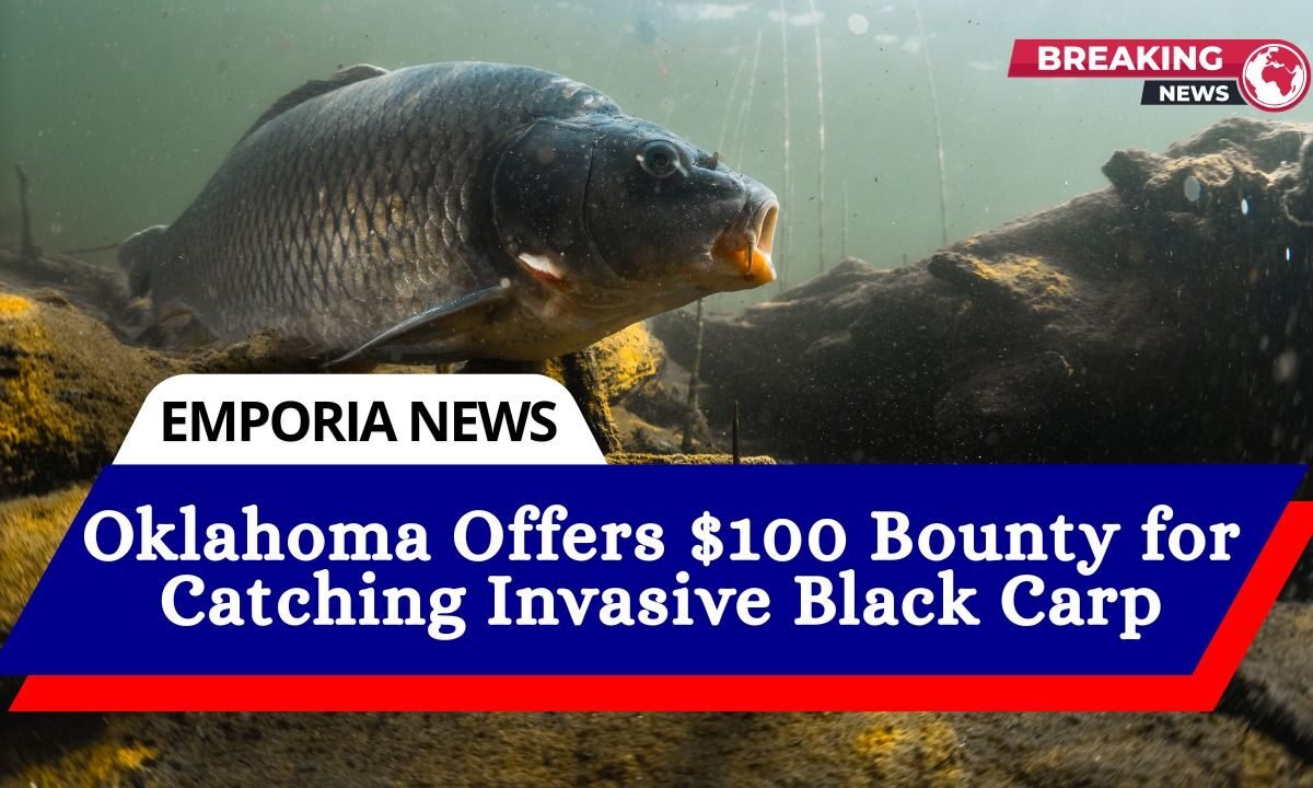 Oklahoma Offers $100 Bounty for Catching Invasive Black Carp