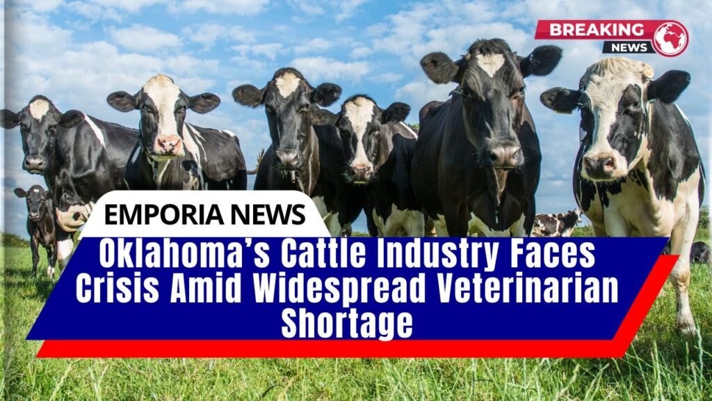 Oklahoma’s Cattle Industry Faces Crisis Amid Widespread Veterinarian Shortage