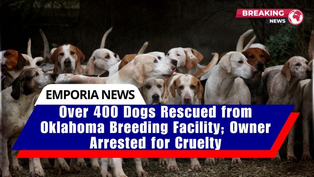 Over 400 Dogs Rescued from Oklahoma Breeding Facility; Owner Arrested for Cruelty