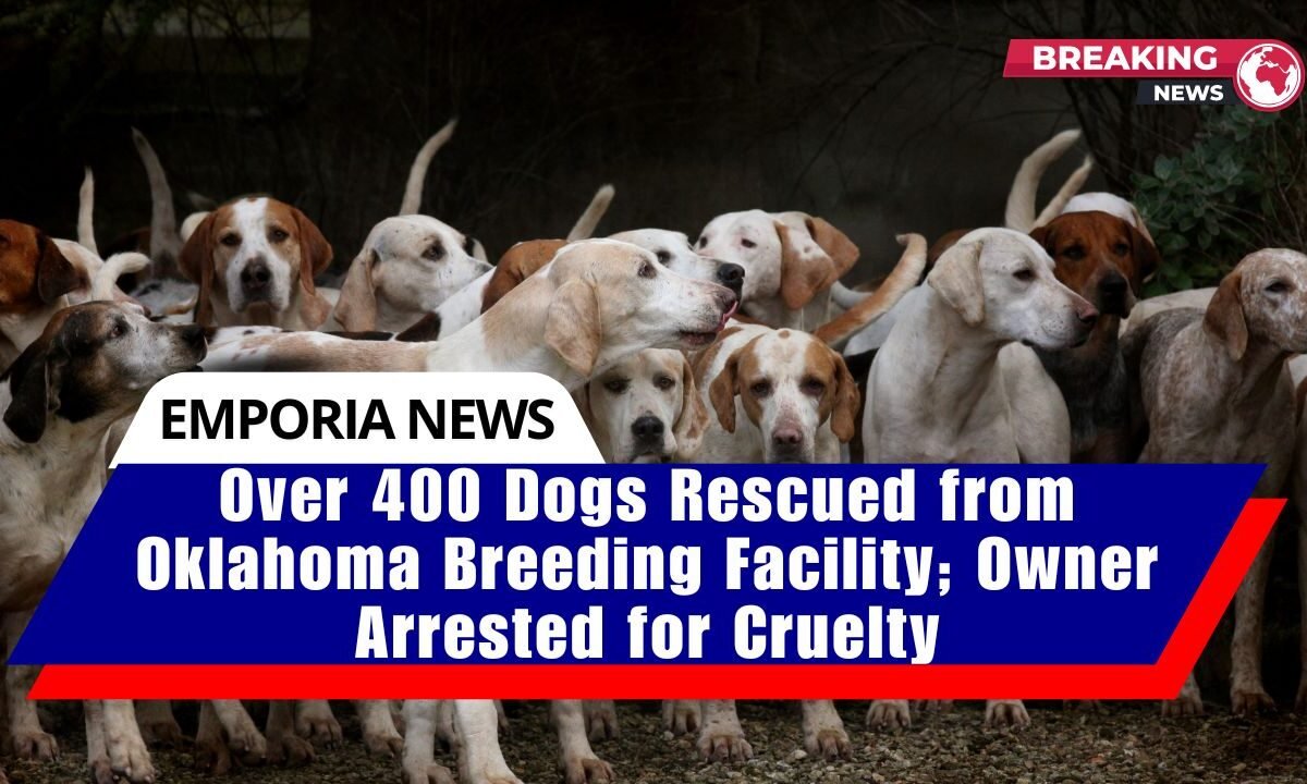Over 400 Dogs Rescued from Oklahoma Breeding Facility; Owner Arrested for Cruelty
