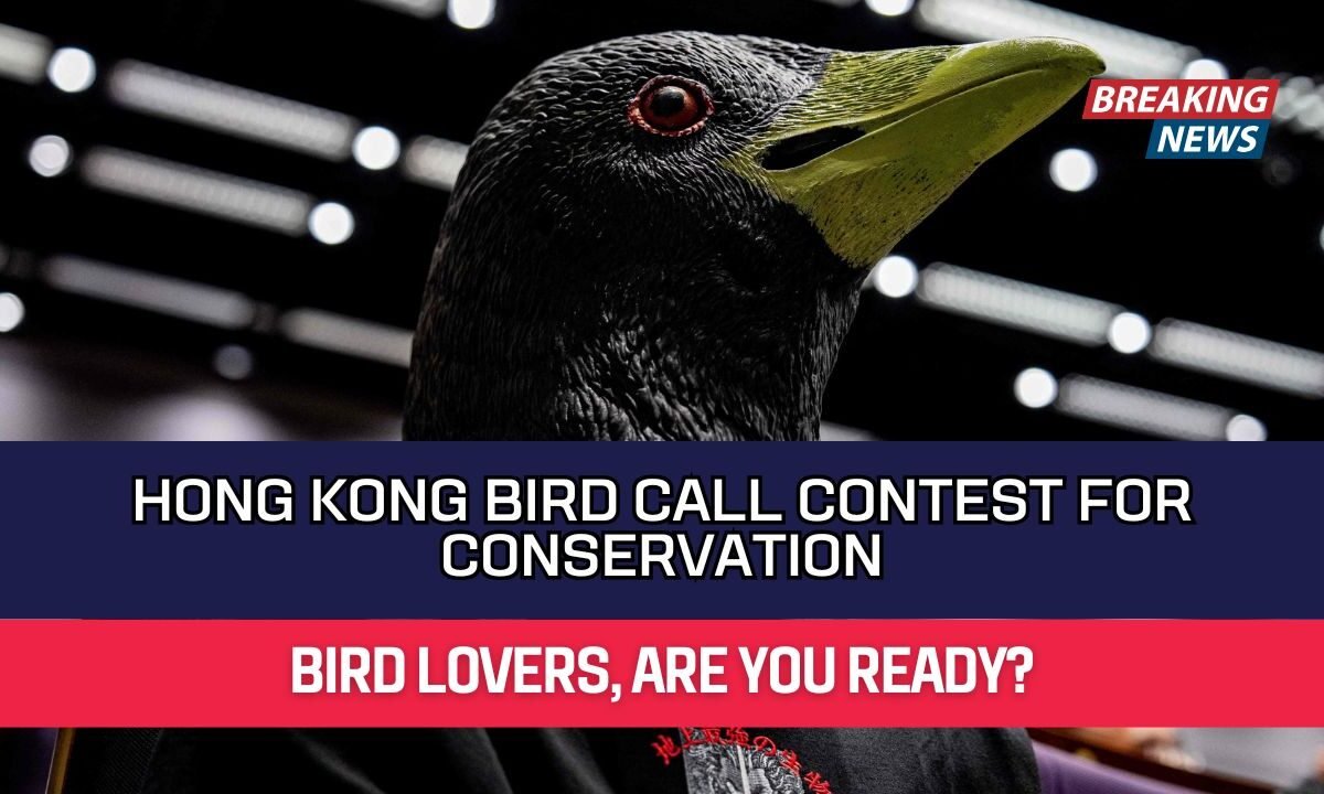 Hong Kong Bird Call Contest for Conservation