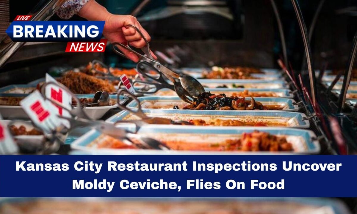 Kansas City Restaurant Inspections Uncover Moldy Ceviche, Flies On Food