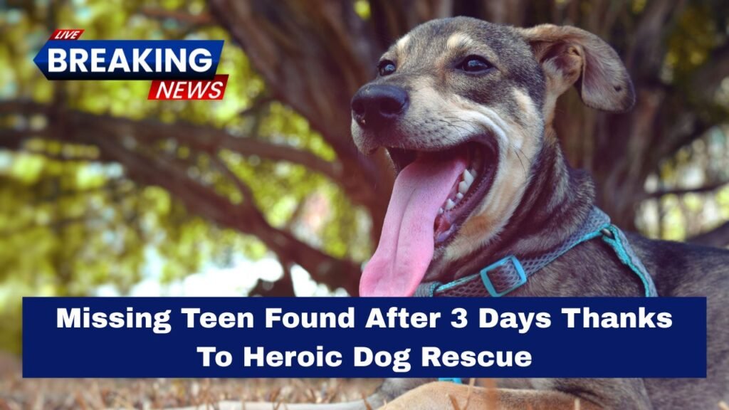 Missing Teen Found After 3 Days Thanks To Heroic Dog Rescue