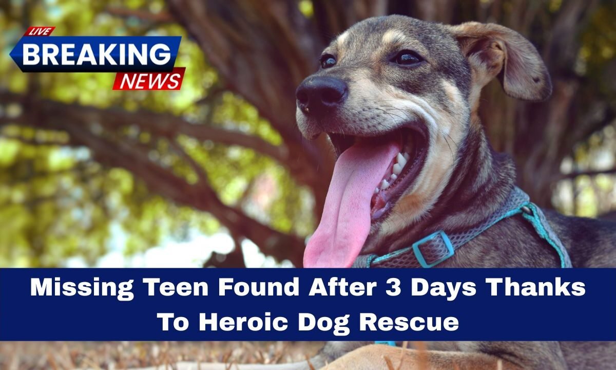 Missing Teen Found After 3 Days Thanks To Heroic Dog Rescue