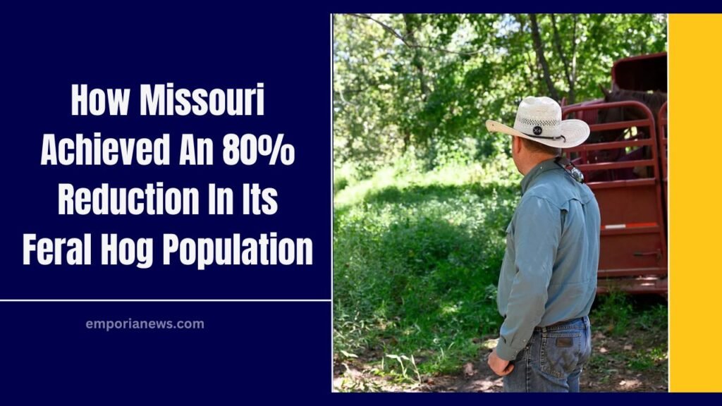 How Missouri Achieved An 80% Reduction In Its Feral Hog Population
