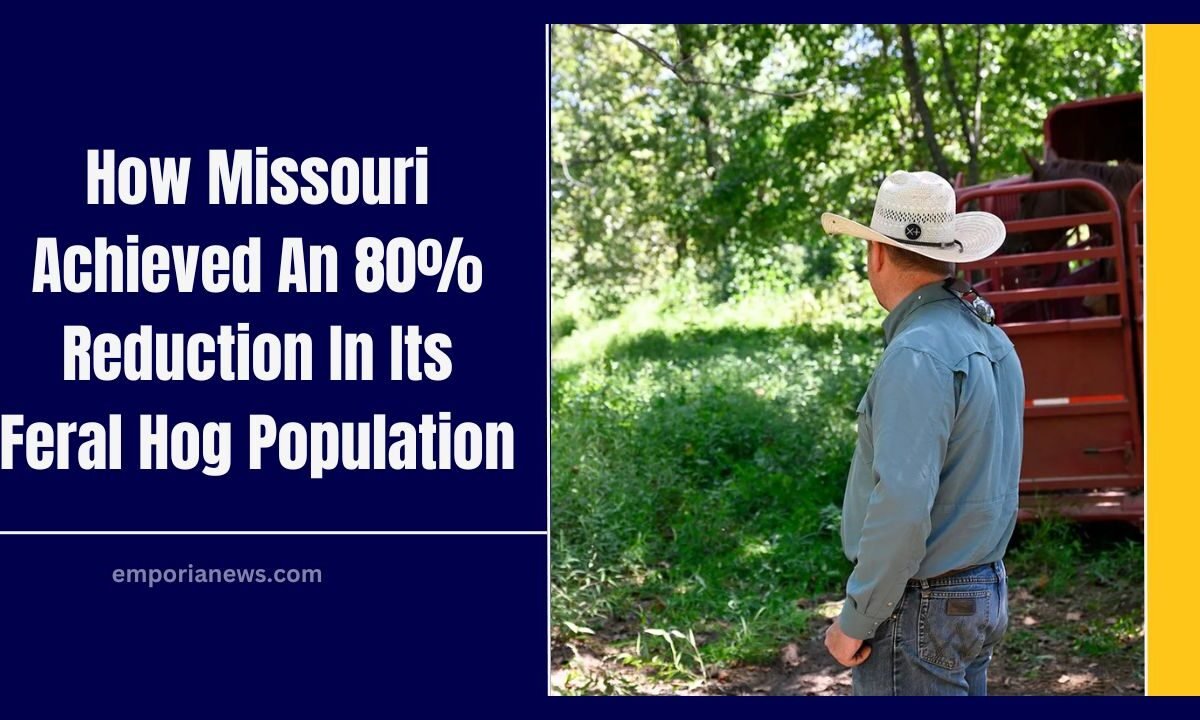 How Missouri Achieved An 80% Reduction In Its Feral Hog Population