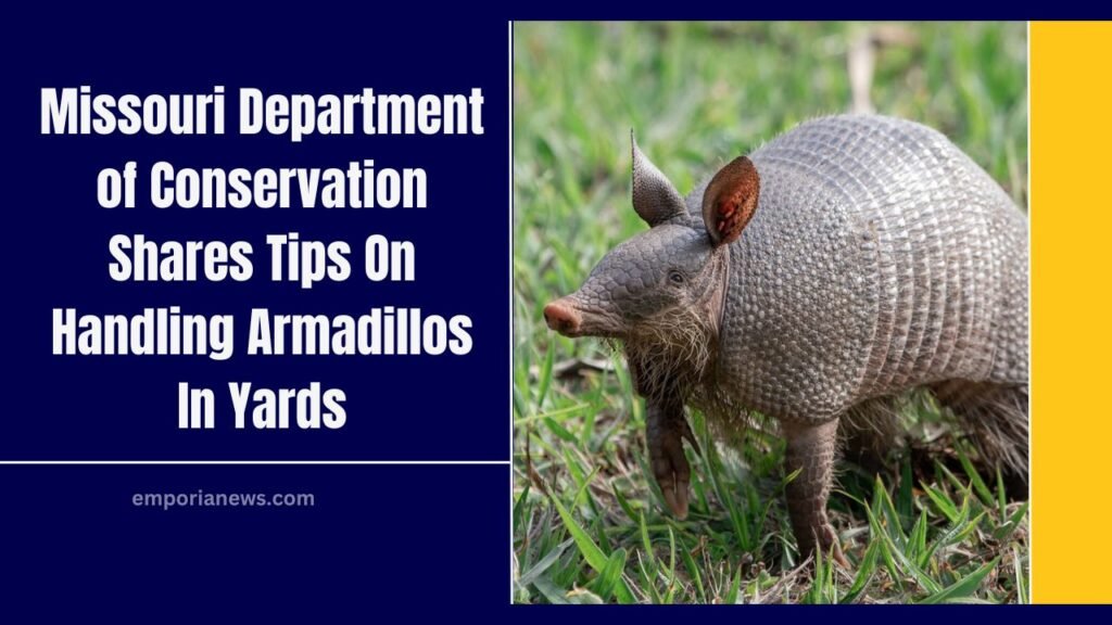Missouri Department of Conservation Shares Tips On Handling Armadillos In Yards