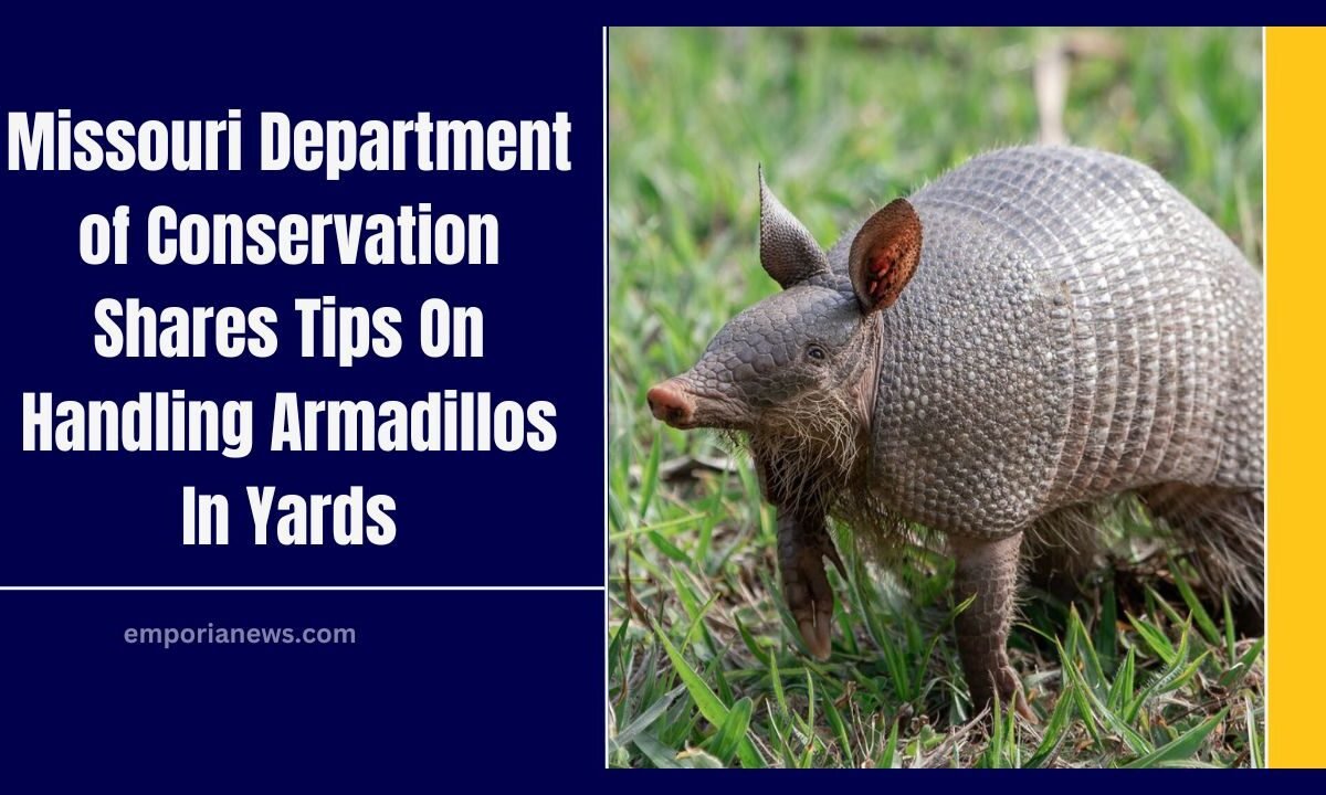 Missouri Department of Conservation Shares Tips On Handling Armadillos In Yards
