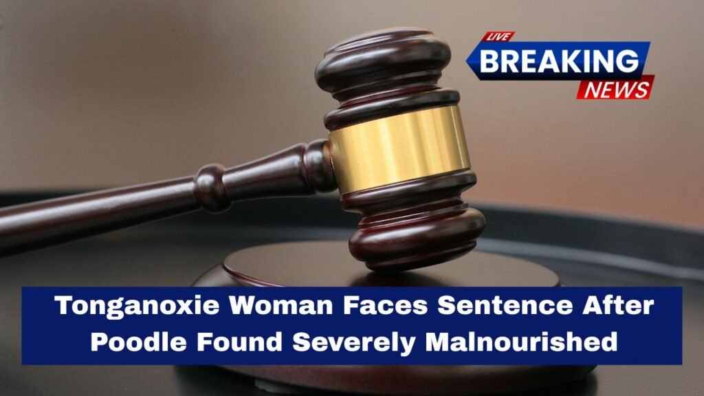 Tonganoxie Woman Faces Sentence After Poodle Found Severely Malnourished