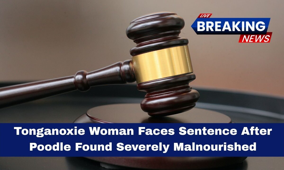 Tonganoxie Woman Faces Sentence After Poodle Found Severely Malnourished