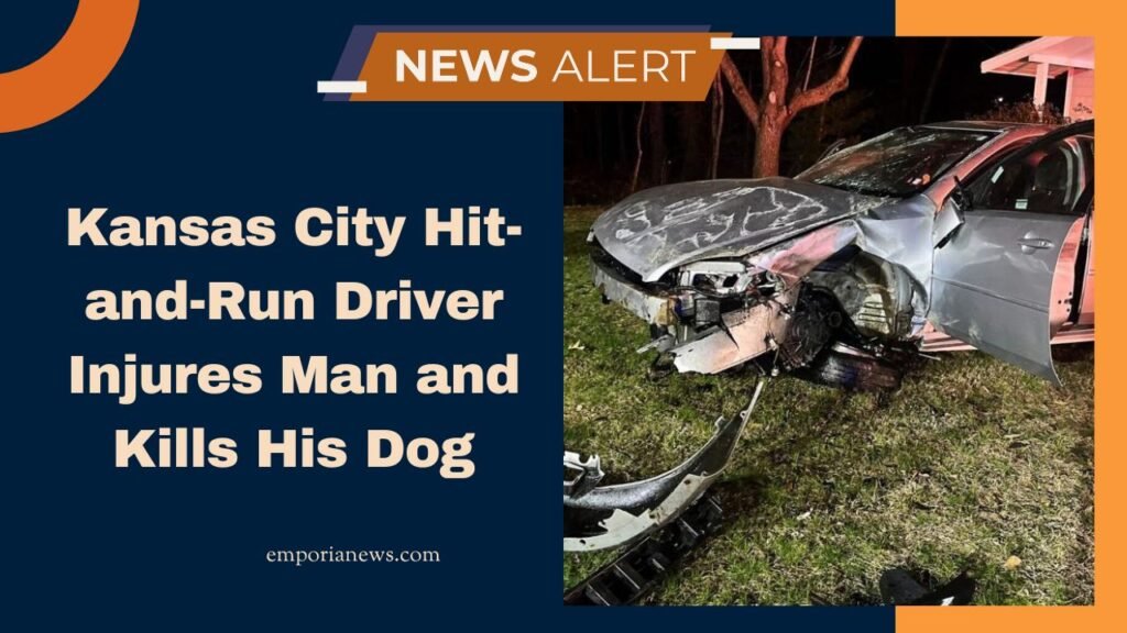 Kansas City Hit-and-Run Driver Injures Man and Kills His Dog