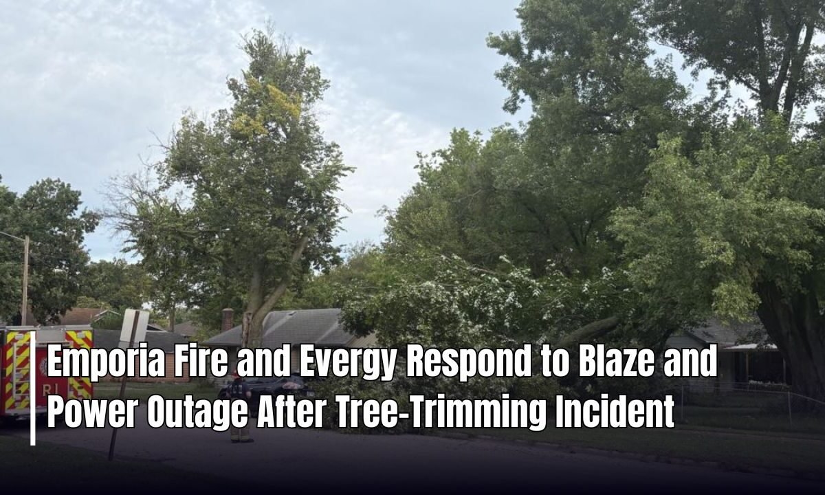 Emporia Fire and Evergy Respond to Blaze and Power Outage After Tree-Trimming Incident