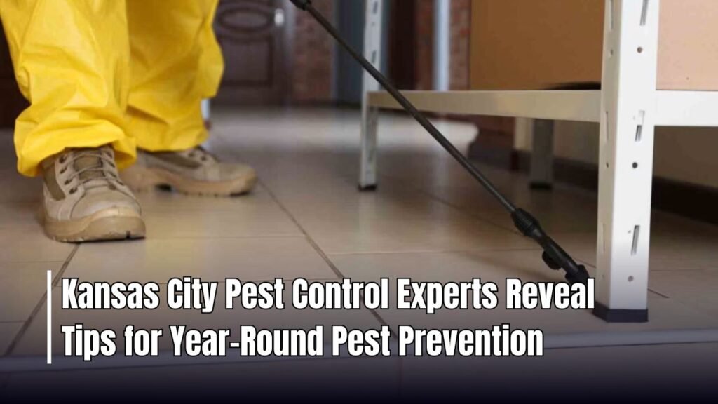 Kansas City Pest Control Experts Reveal Tips for Year-Round Pest Prevention