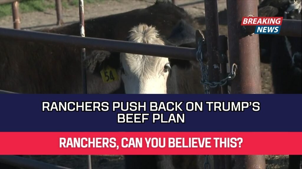 Ranchers Push Back on Trump’s Beef Plan