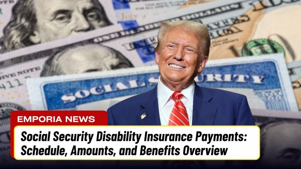Social Security Disability Insurance Payments: Schedule, Amounts, and Benefits Overview