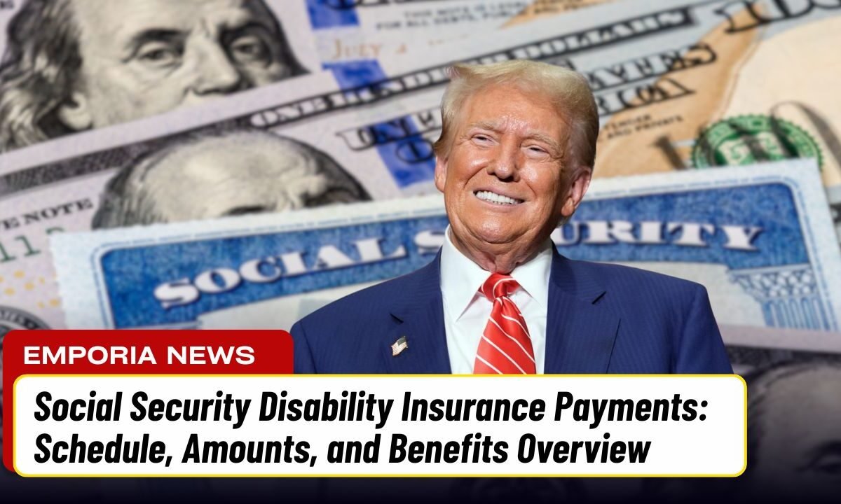 Social Security Disability Insurance Payments: Schedule, Amounts, and Benefits Overview