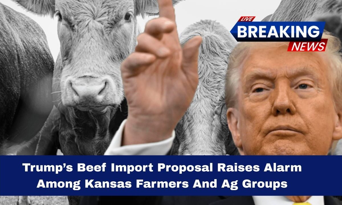 Trump’s Beef Import Proposal Raises Alarm Among Kansas Farmers And Ag Groups