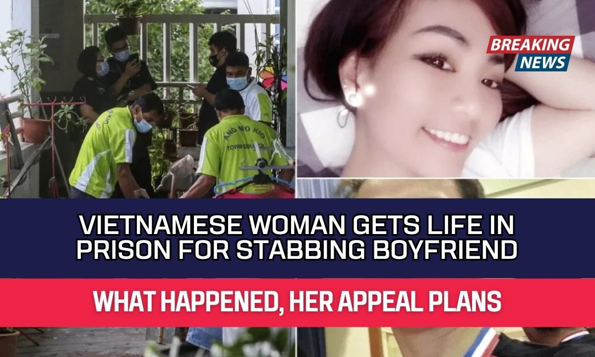 Vietnamese Woman Gets Life In Prison for Stabbing Boyfriend