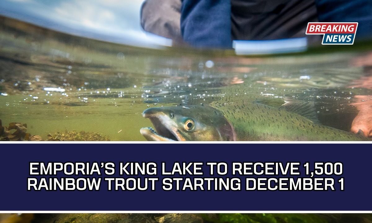 Emporia’s King Lake To Receive 1,500 Rainbow Trout Starting December 1